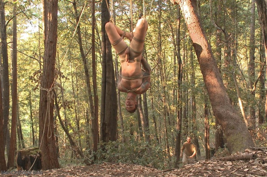 Handsome dude gets tied up and sucked off i - XXX Dessert - Picture 10