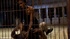athletic ebony tranny hangs
