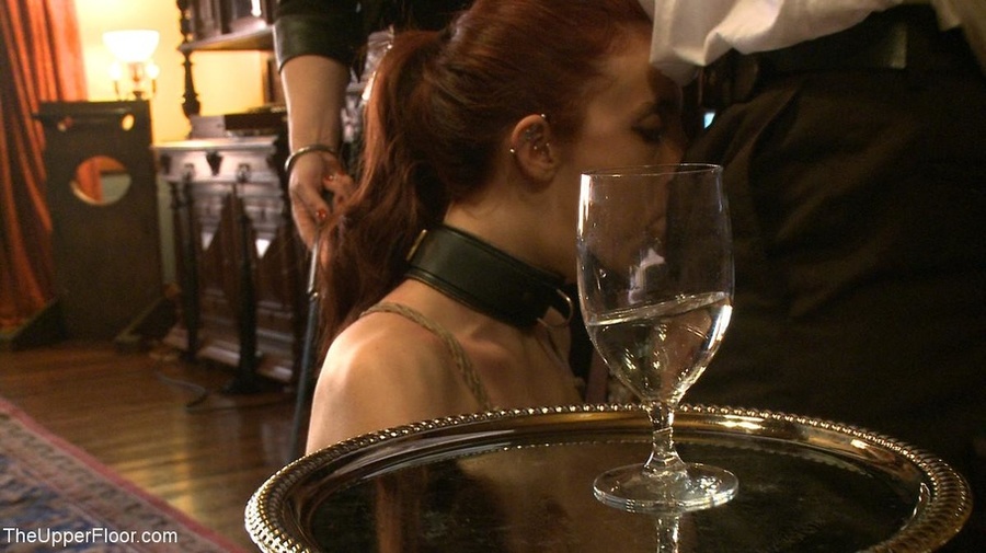 Slaves-in-training spread their legs and wr - XXX Dessert - Picture 3