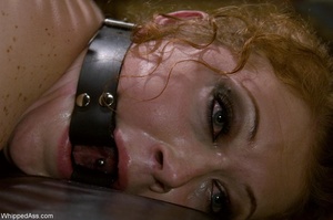 Redhead slut is ready for some really nasty punishment in bondage - Picture 8