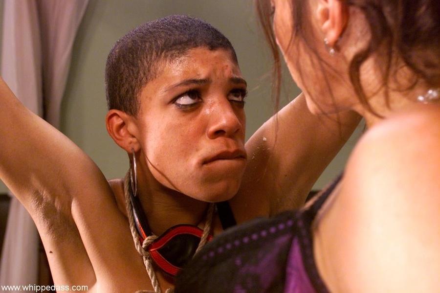 Short-haired Ebony and her owner play in a  - XXX Dessert - Picture 18