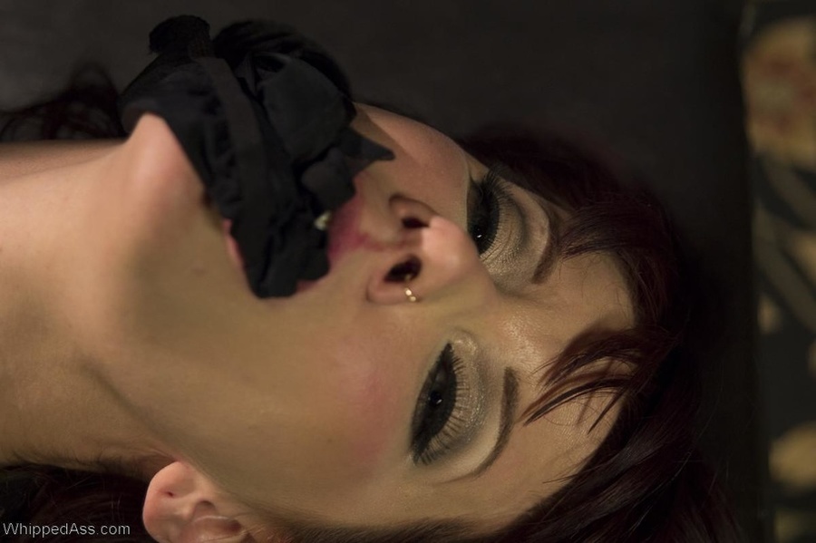 Bitch in fishnet bodystocking demonstrates  - XXX Dessert - Picture 8
