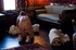 Hot slave tends to her daily duties in an upscale dwelling before the