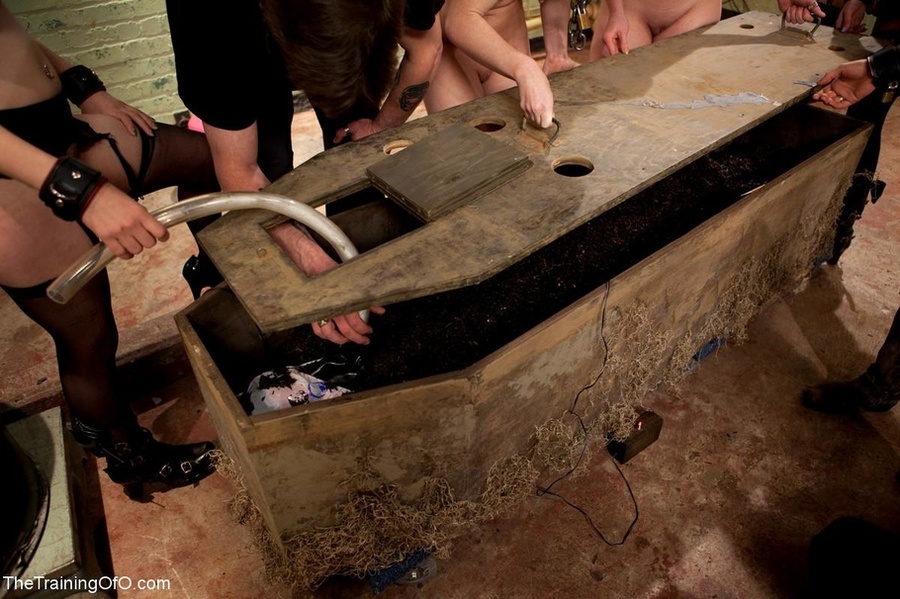 This biddable bitch can even hold a bucket  - XXX Dessert - Picture 7