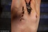 Slave’s tight pucker closes quickly after she has been done hard in