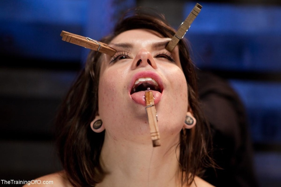 Ladies from every walk of life have signed  - XXX Dessert - Picture 11