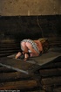 Master makes a mess of a decadent blonde who enjoys being the submissive