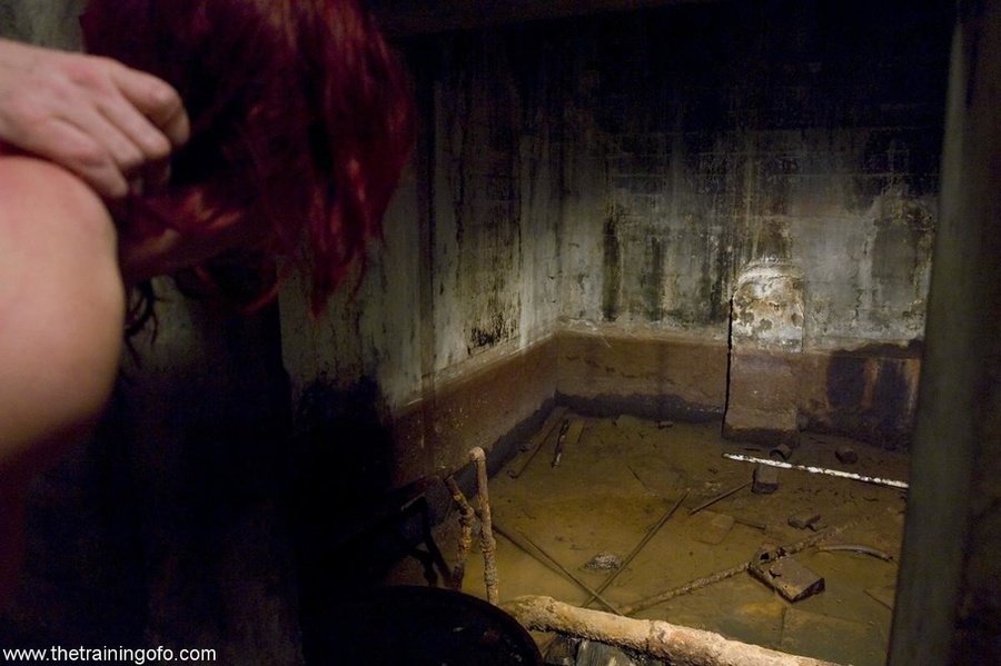 Redhead carries around a heavy piece of woo - XXX Dessert - Picture 14