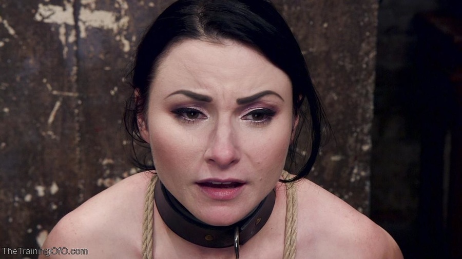 Lady in a yellow latex bodysuit is part of  - XXX Dessert - Picture 6