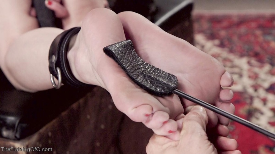 Electrodes, rope and clothespins are placed - XXX Dessert - Picture 16