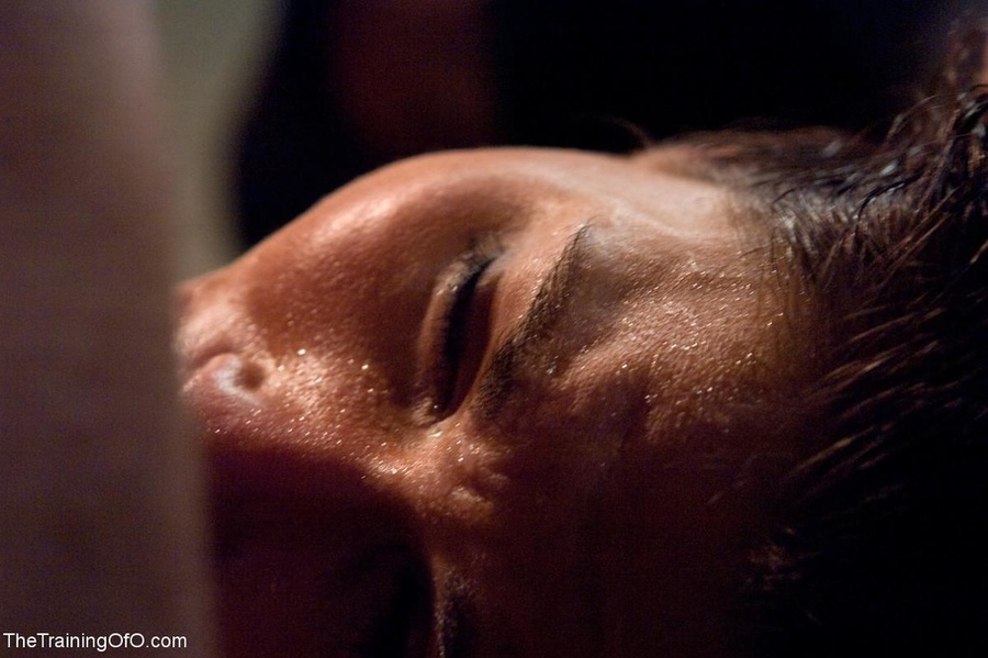 Take a look at an array of sexy submissives - XXX Dessert - Picture 17