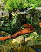 Well endowed swamp dude fucks a beautiful inked lady