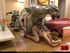 Brunette gal sucks dinosaur's dong and gets rammed