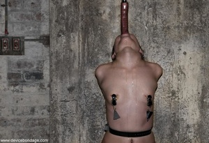 A long, fake dick dangling above her head taunts a submissive tart with leather straps placed on her body. - Picture 15