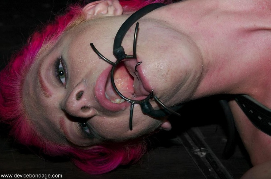 There’s a brunette and a pink-haired submissive seeking to do the bidding of a third party. - XXXonXXX - Pic 11