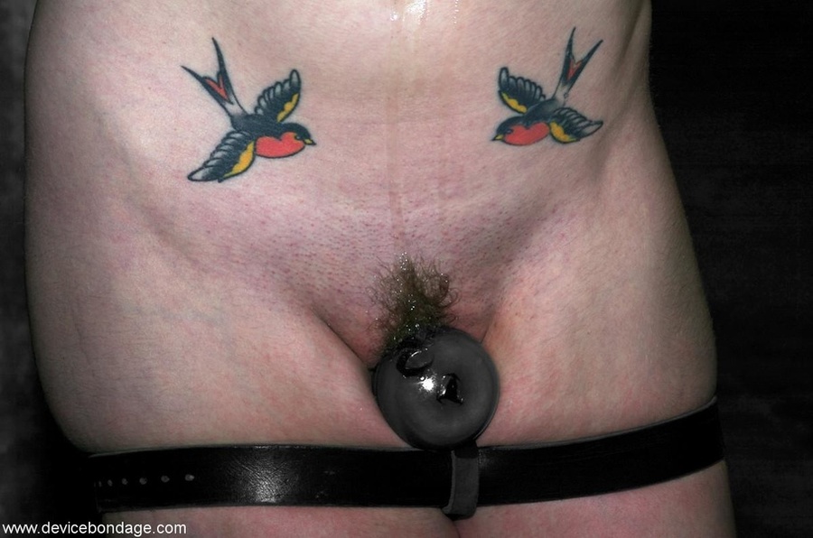 Lots of things are going on, and the sexiest is the Sybian ride a sub takes while she wears a straitjacket. - XXXonXXX - Pic 13