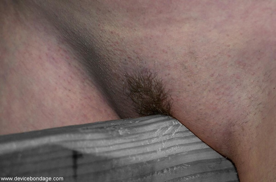 Her sexy bird tattoos might look familiar, but this slave’s latest antics are all brand new. - XXXonXXX - Pic 14