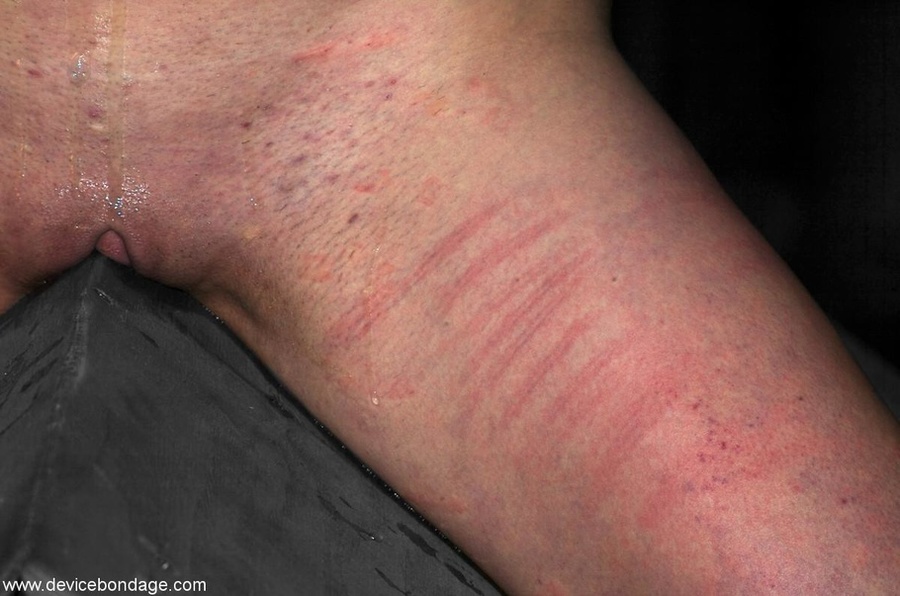 Puppy play makes an obedient, young girl feel loved, but it also makes her feel a bit disrespected. - XXXonXXX - Pic 6
