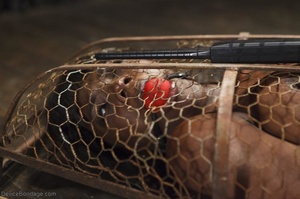 Muscular black beauty is in a chicken wire cage while her pussy feels the buzz of a powerful vibrator. - Picture 13