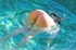 pig tailed blondie with