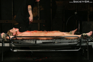 Sex pain slut roped, gagged, electrocute - Picture 14