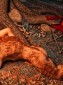 Lizard man fucks a redhead on forest - Picture 5