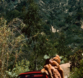 Enchanting damsel models soft inviting boobs, hairy cunt and ass indoors