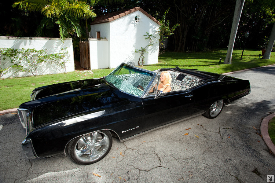 Deliciously blonde in black lingerie teases - XXX Dessert - Picture 1