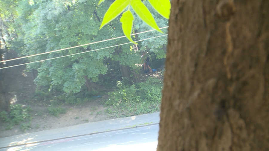 Brunette in glasses sucks dick and fucks ho - XXX Dessert - Picture 4