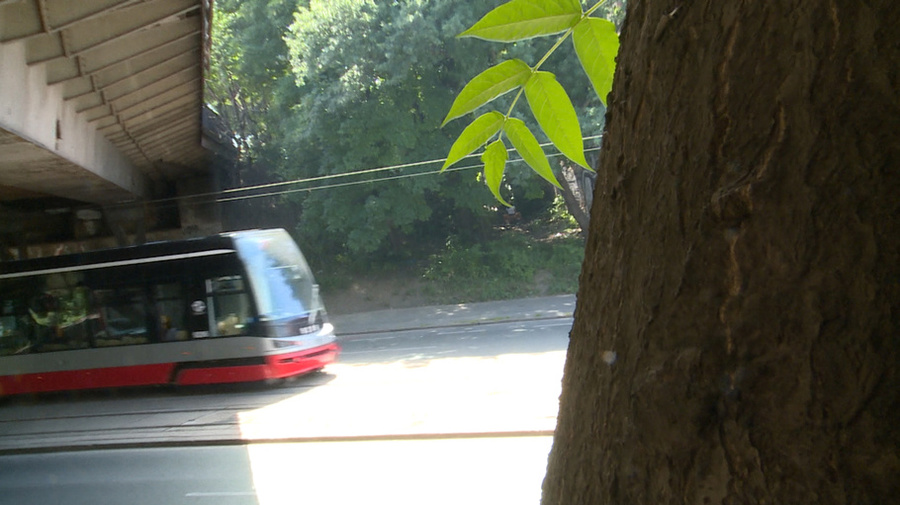 Brunette in glasses sucks dick and fucks ho - XXX Dessert - Picture 8