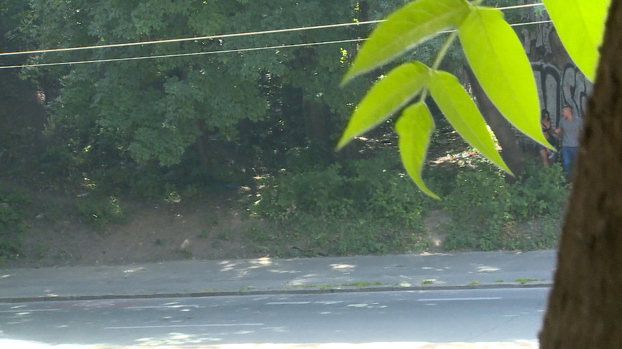 Brunette in glasses sucks dick and fucks ho - XXX Dessert - Picture 12