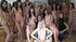 lot young chicks harem