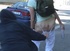 Dude suddenly jerks down girl's pants and panties on public