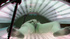 Young brunette with slim body shape is enjoying solarium