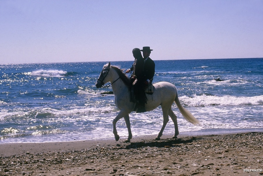 Stunning naked black chick teases her white - XXX Dessert - Picture 1