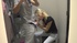 shameless blonde sucking boner
