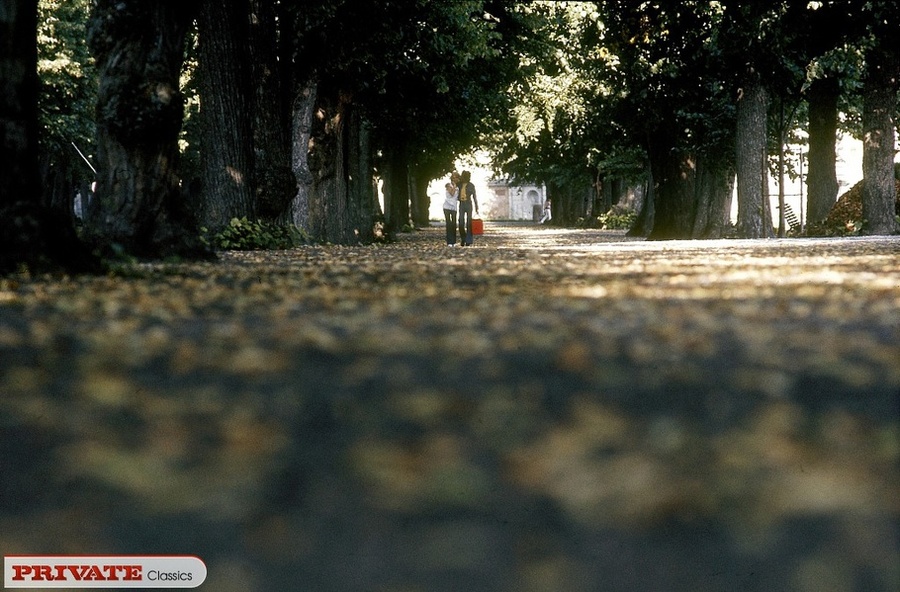 Blonde bombshell with foxy body strips off  - XXX Dessert - Picture 2