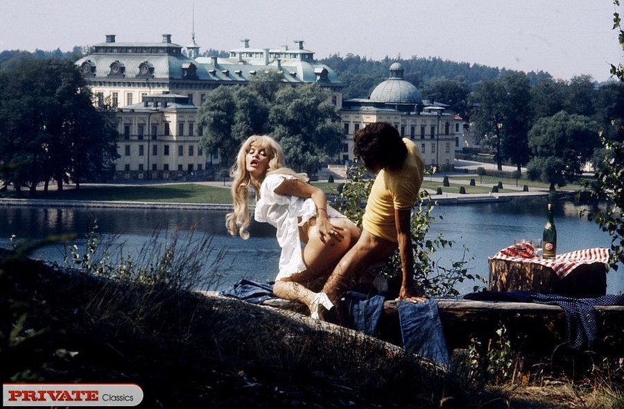 Blonde bombshell with foxy body strips off  - XXX Dessert - Picture 14