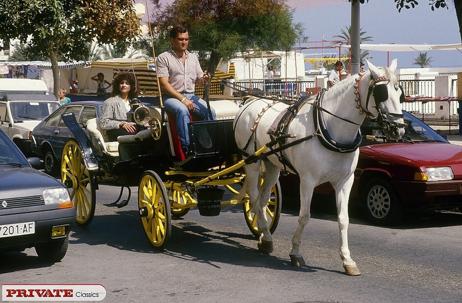 Steaming hot chick takes off her black and  - XXX Dessert - Picture 1