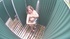 Fair-haired housewife gets naked to take shower and change before pool