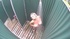 Ponytailed blonde housewife with massive boobies gets high while showering