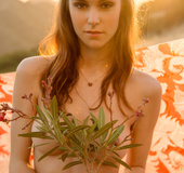 Charming young girl undresses herself when the sun goes down in the field