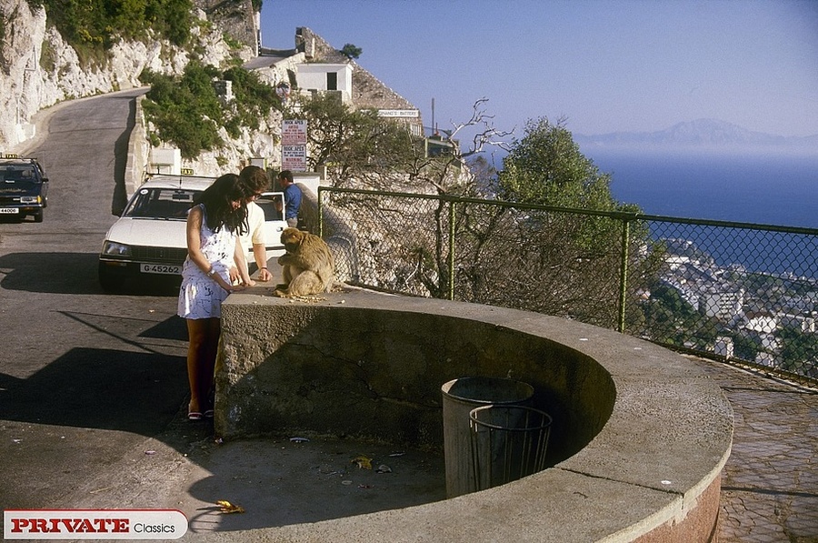 Banging babe teases two handsome studs with - XXX Dessert - Picture 14