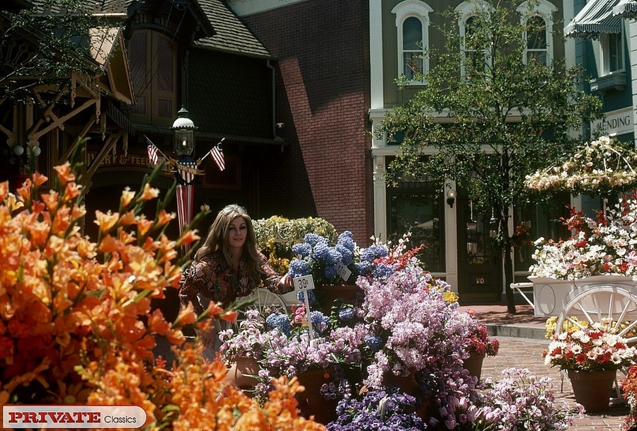 Gorgeous babe with steaming hot body in bla - XXX Dessert - Picture 3