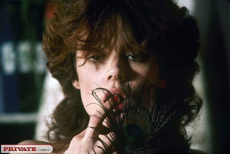 Gorgeous babes with steaming hot bodies sho - XXX Dessert - Picture 1