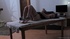 naughty brunette gets tied