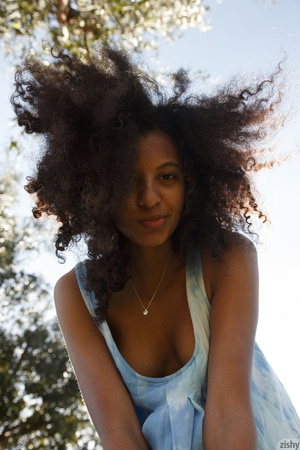 Exhibitionistic ebony with wild hair exp - Picture 3