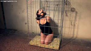 Caged hot tits brunette in black top and orange panties gagged and vibrated - Picture 1