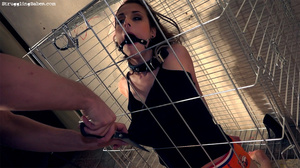 Caged hot tits brunette in black top and orange panties gagged and vibrated - Picture 7
