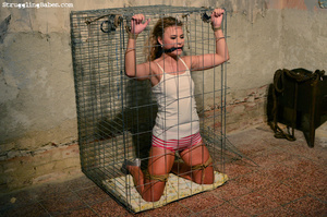 Caged fresh brunette in white top tied, gagged, choked and vibrated to cum - XXXonXXX - Pic 1